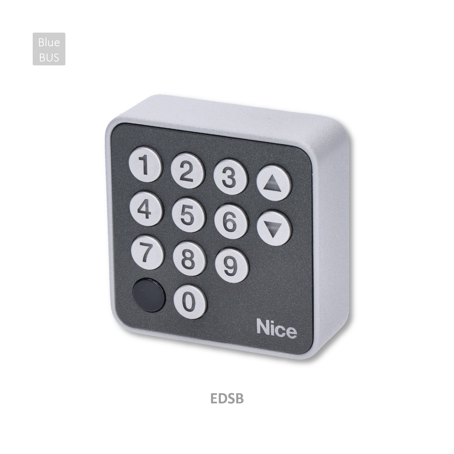 Klávesnice tlačítková drátová BLUEBUS, 2-kanálová